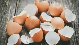 10 Reasons to Keep Your Eggshells