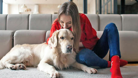 How to Introduce a New Pet to Your Home: Step-by-Step Guide