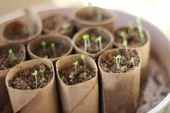 Transform Your Garden into a Wonderland with These 31 Genius and Budget-Friendly Tips to Light It Up!