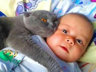 Parents Call the Police When Their Cat Won't Let the Baby Sleep Alone