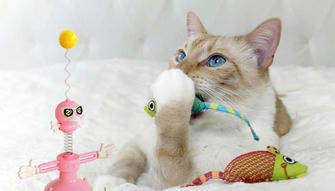 8 Ways to Dive into the Captivating World of Cat Toys