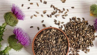 When to Take Milk Thistle: Morning or Night?