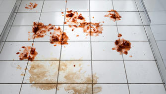 Spilled Food? Here's 5 Proven Tips to Get Rid of It Fast!