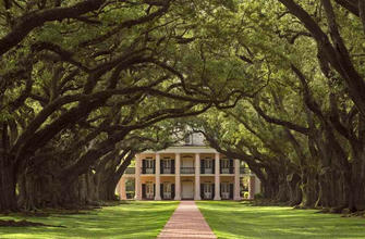Get Inspired by These 40 US Historical Homes That Are Worth the Visit