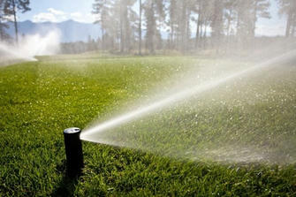 How Much Does Sprinkler Repair Cost? A Comprehensive Guide