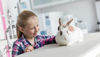 4 Tips Help You Take Care of Your Pet Bunny?