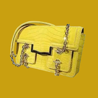 The Most Expensive Bags in the World: Top10