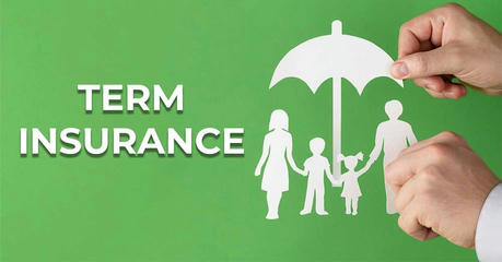 Beyond Auto-Renewal: A Thinking Driver’s Guide to Car Insurance Selection