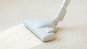 How to Remove Mold from Carpets: The Easiest Way to Get Rid of Them at Your Home