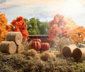 Tour a Beautiful, Sustainable Home Built from Straw Bales