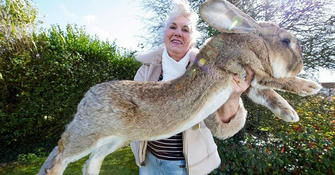 You'll Be Shocked To Discover How Massive Some Animals Can Be