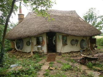 Sustainable Living: The Inspiring Story of Michael Buck's Eco-Friendly Home by just spending $250